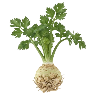 Apionabo