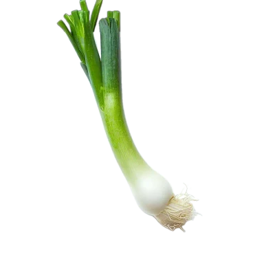 Cebolleta