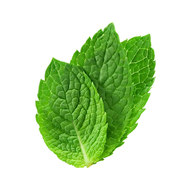 Menta