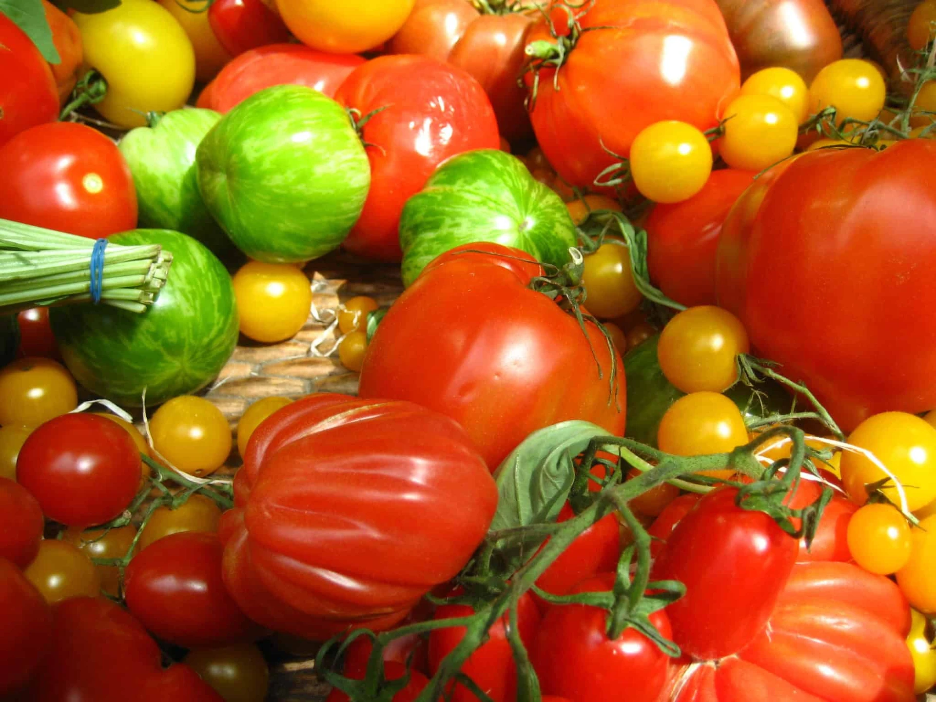 El tomate y sus saludables beneficios