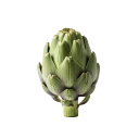Alcachofa