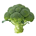 Brócoli