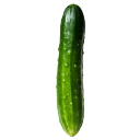 Pepino