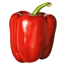 Pimiento