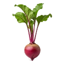 Remolacha roja